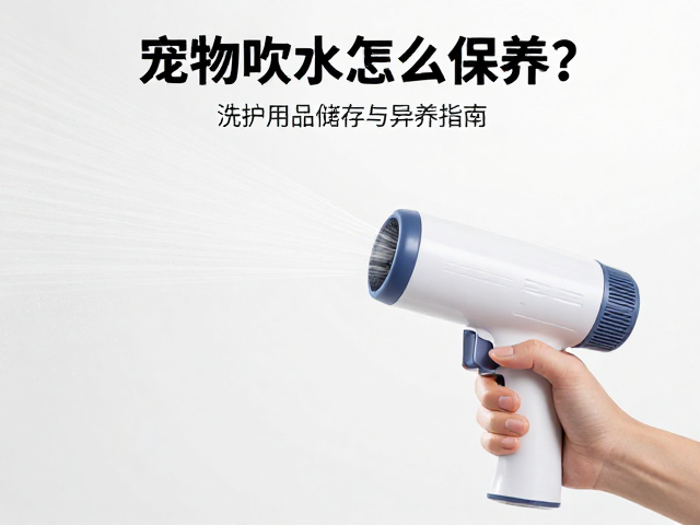 定期功能检测与异常识别