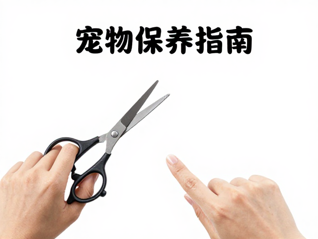日常清洁与去污细节
