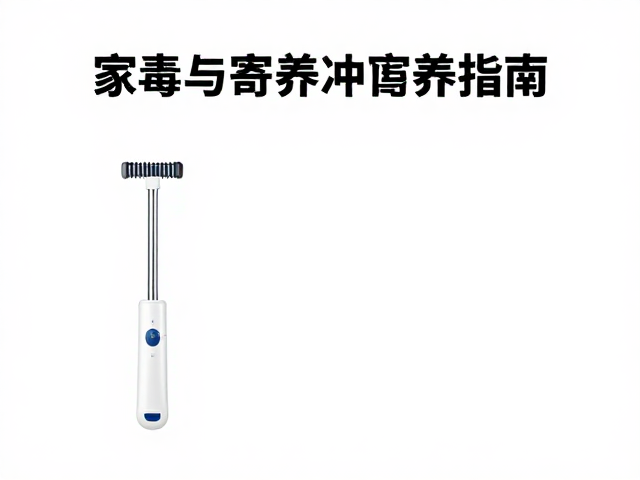 居家美容工具消毒与寄养中心清洁规范