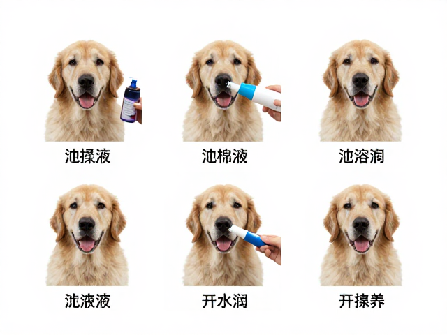 选材与涂抹:精准施加润滑介质