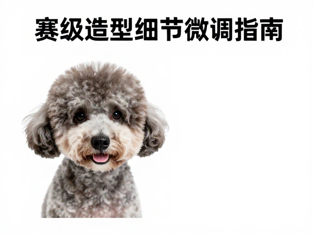 赛级造型细节微调指南