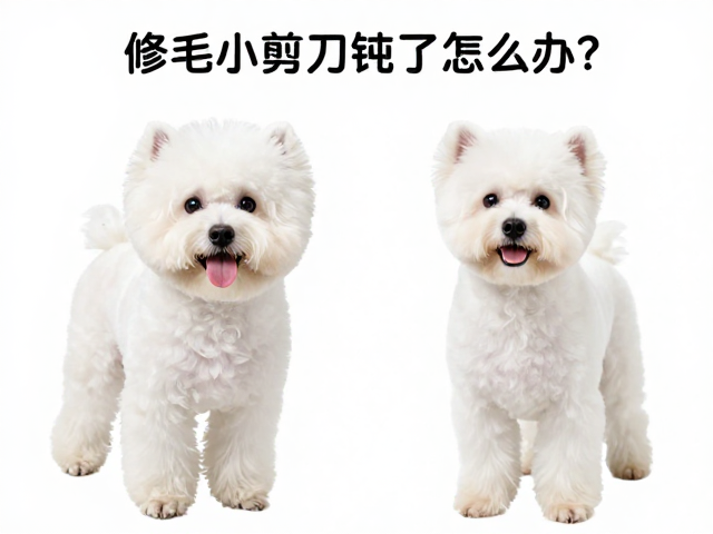不同犬种对刀口精度的需求差异
