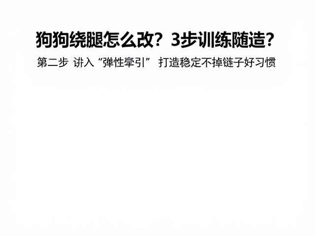 第二步：引入&ldquo;弹性牵引&rdquo;与方向控制权