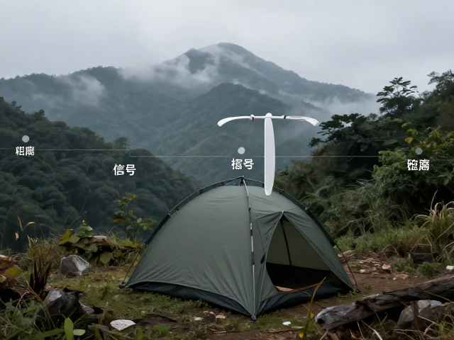物理升位与天线极化方向的关键调整