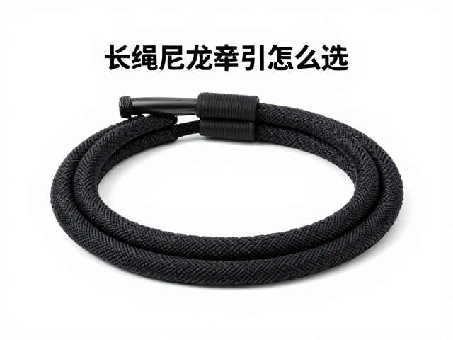 维护清洁与日常保养