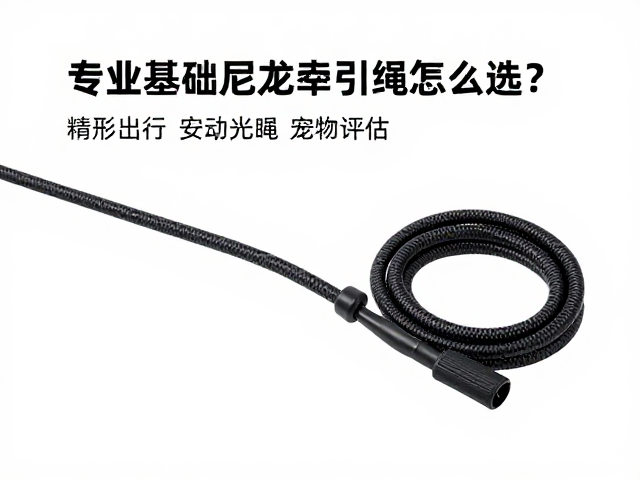 场景适配与安全性评估