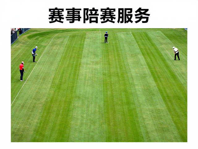 赛事陪赛服务,严格遵循标准流程,打造软硬适中草地体验