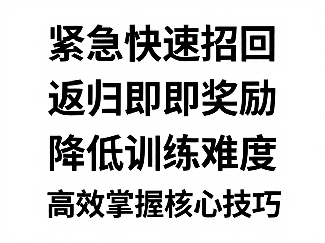 高效掌握核心技巧的实践路径