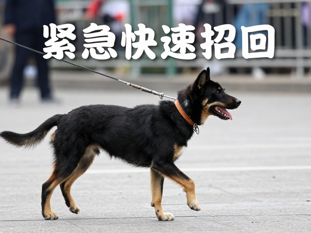 紧急快速召回,返回即奖励,降低训练难度,高效掌握核心技巧