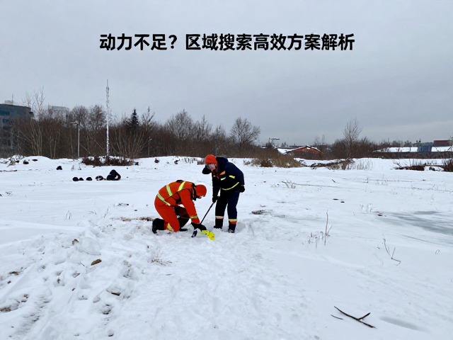 低温环境搜救数据的实时处理与决策优化