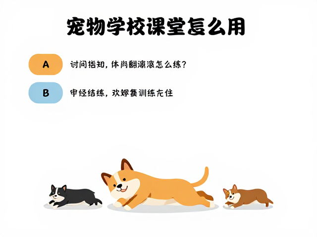 每周训练进度调整与常见误区规避