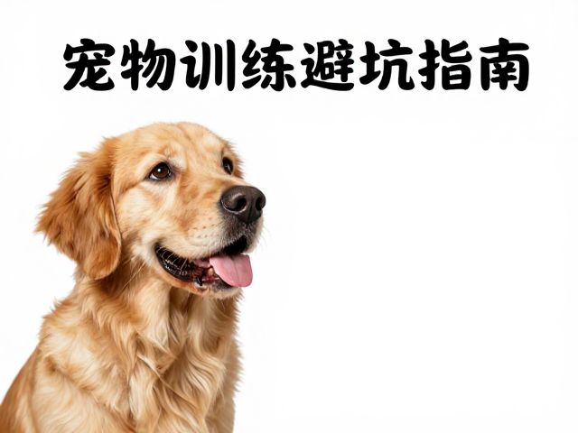去敏与反制:处理常见训练误区