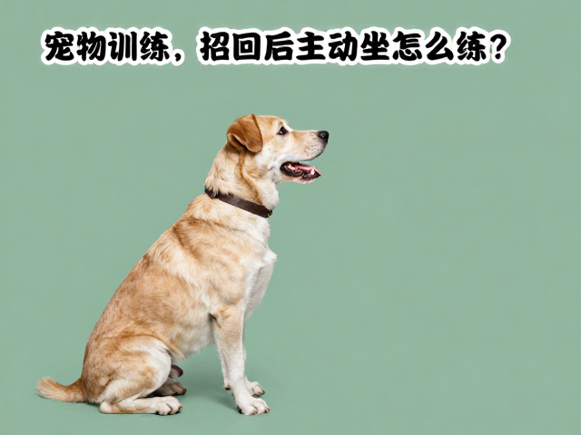 逐步增加干扰与场景泛化