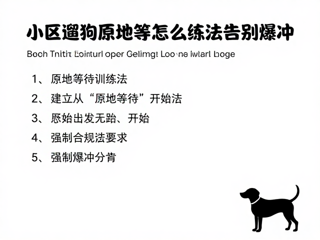 建立基础从“原地等待”开始