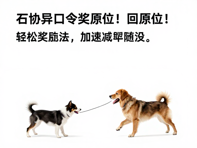 口令与场景的精准绑定