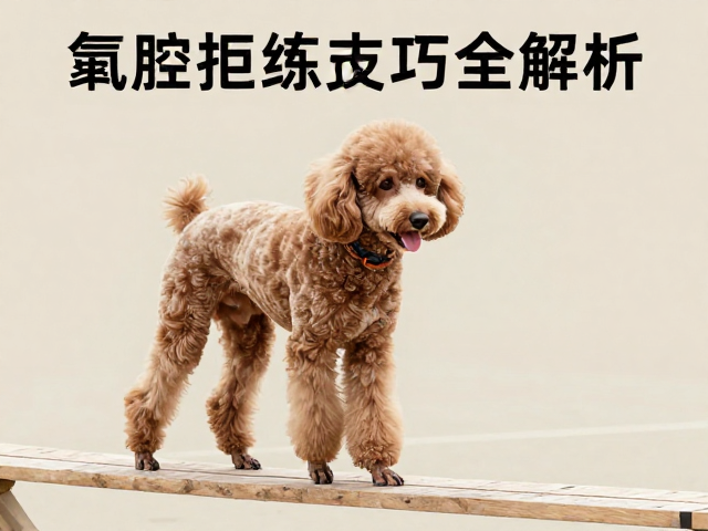 常见失误纠正与长期维持策略