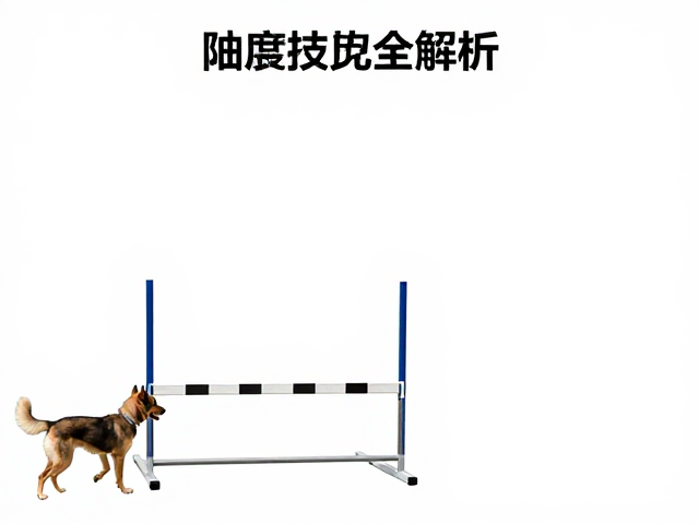 障碍赛道的路线规划与指挥技巧