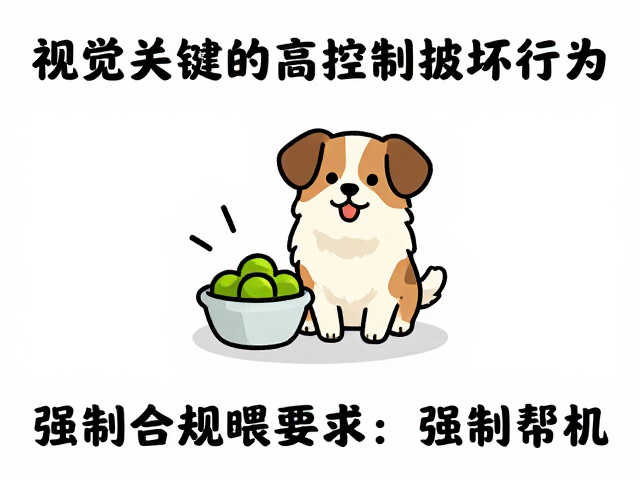 建立规律的运动释放机制