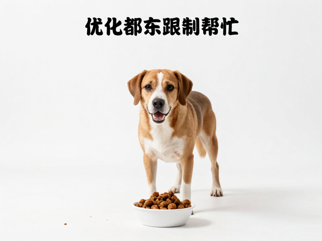 优化喂食时间与营养摄入