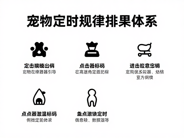 构建可执行的定时规律排泄体系