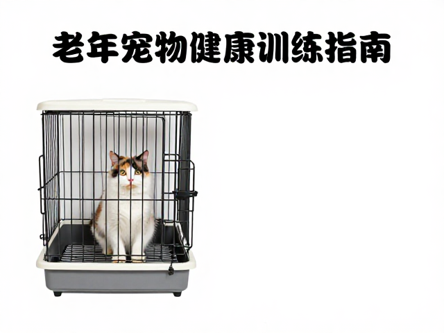 猫咪定点如厕与笼内训练指南