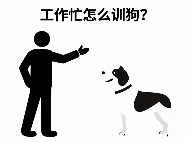 建立高效沟通:止步口令的核心逻辑