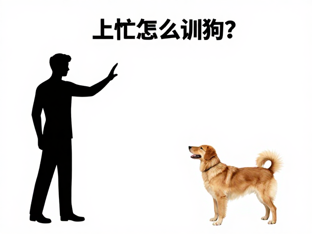 手势强化:视觉信号的非语言沟通