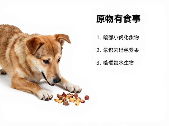 兴奋型犬只误食玩具食物？家长主动分享前的安全警示与教育指南