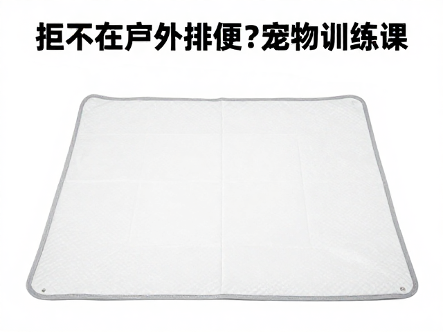 为什么室外排便会成为训练痛点