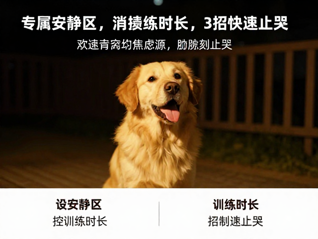 狗狗夜间持续鸣叫？设安静区，控训练时长，3招快速止哭