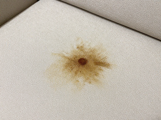 沙发尿渍的渗透机制与预处理关键