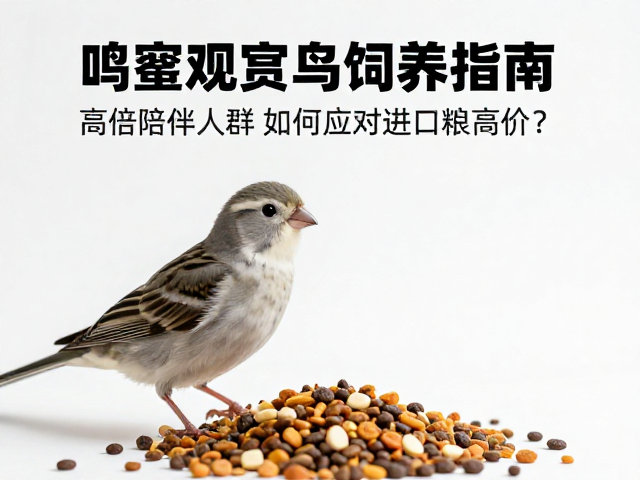 互动陪伴与饲养成本的平衡艺术