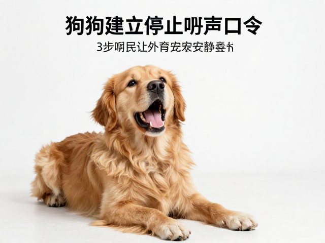 提升环境丰富度与自主管理能力