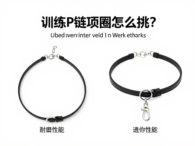 训练P链项圈怎么挑?查看耐磨性能,宠物医院周边选购指南