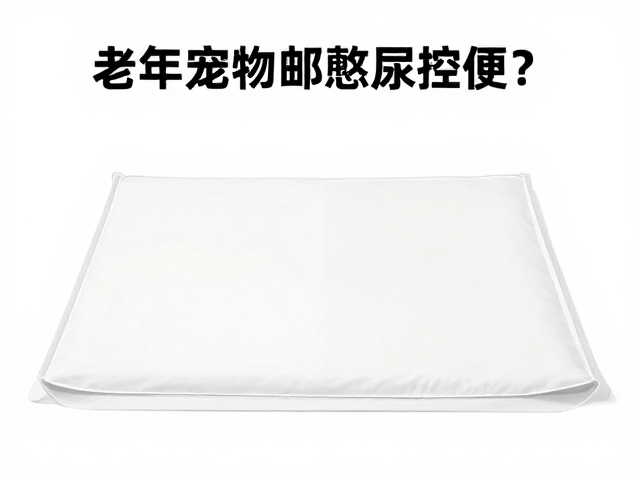 常见误区与应对策略