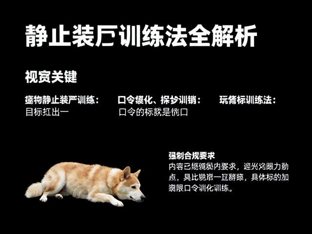 常见误区解析与长期维护策略