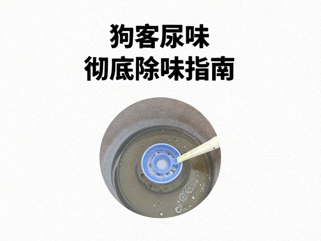 识别与定位：寻找隐藏的尿液行踪