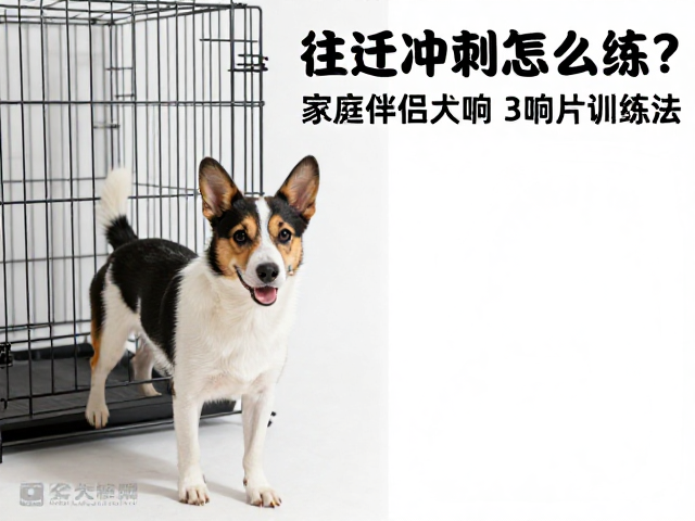 第一步:建立进笼与定点等待的条件反射