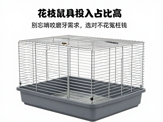 花枝鼠笼具投入占比高？别忘啃咬磨牙需求，选对不花冤枉钱