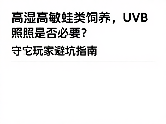 环境设置与潜在的光照陷阱