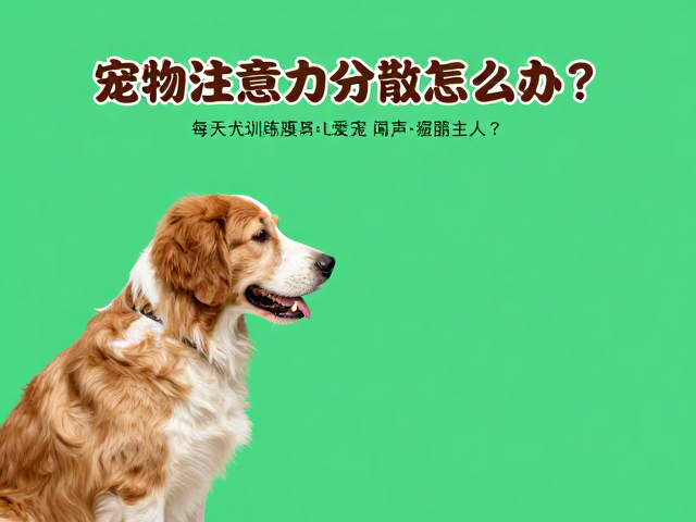 建立高价值奖励机制