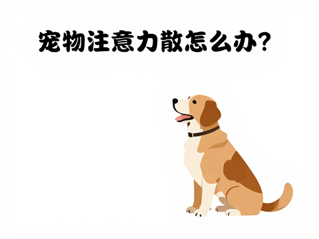 处理注意力分散的应对策略
