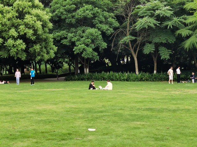 场景化设计：构建安全的社交容器