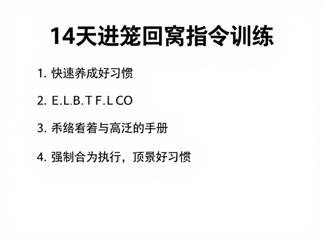 核心指令执行与场景泛化
