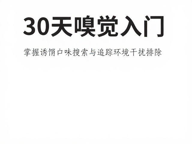 动态追踪中的路径重构与环境干扰排除