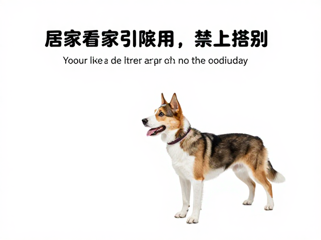 场景化应用与长期行为固化
