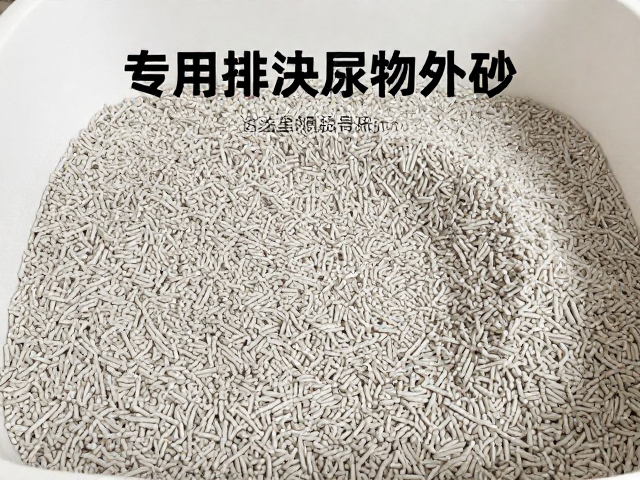 诱导排泄行为的科学引导策略