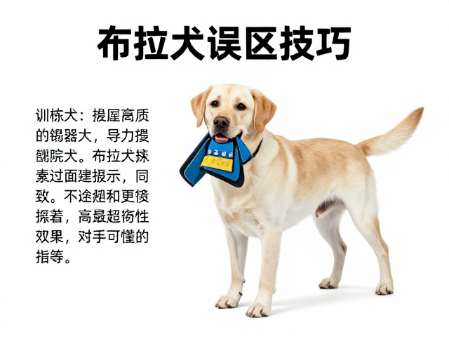 常见误区解析与技巧调整指南