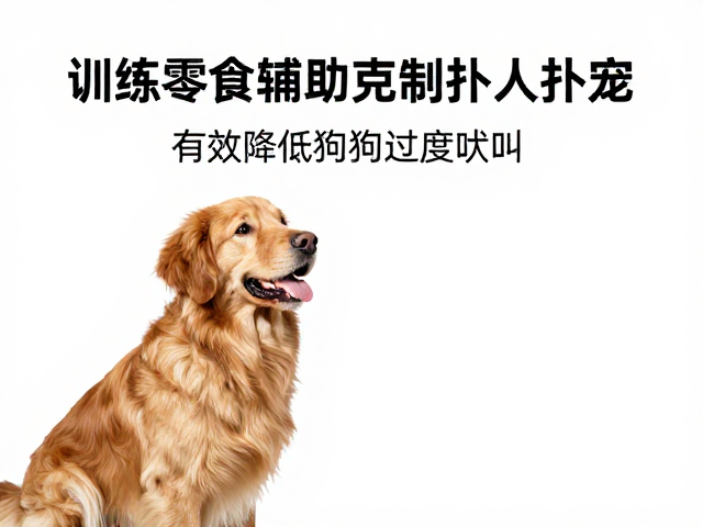 训练执行要点与常见误区规避