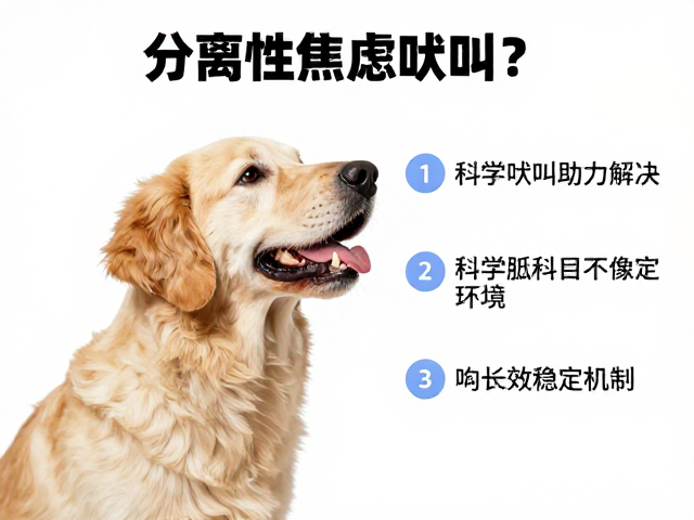 行为修正与环境管理：构建长效稳定机制